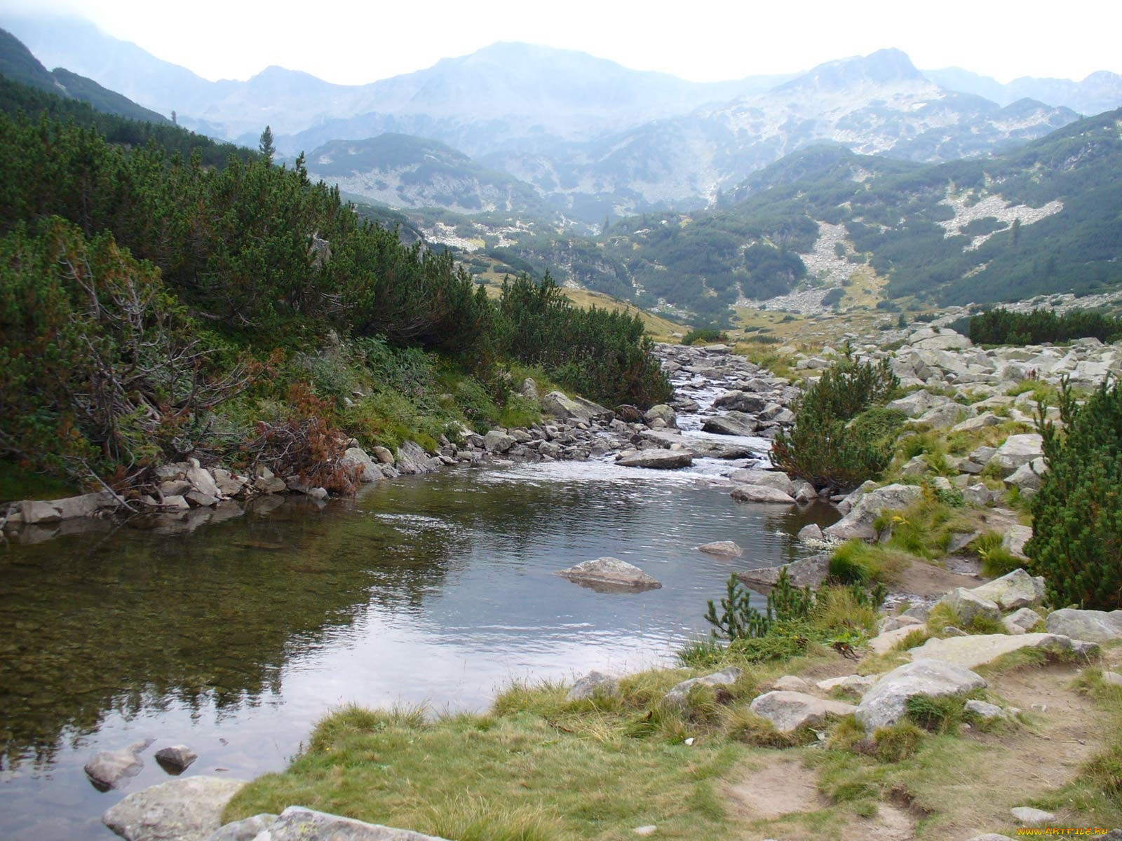 Струма Болгария